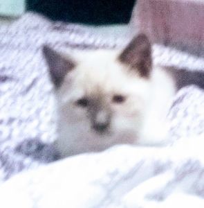 Meet your Posher, Tammy